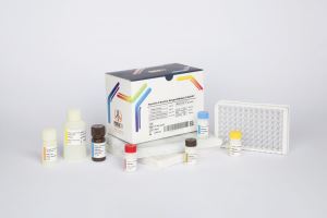 HBs Ag / pishtaz teb / پیشتاز طب / کیت تشخیص طبی 